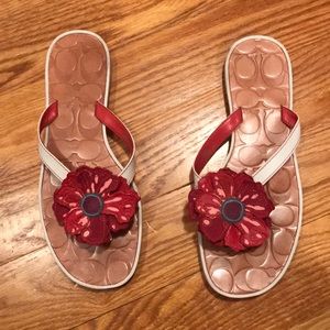 Coach poppy thongs